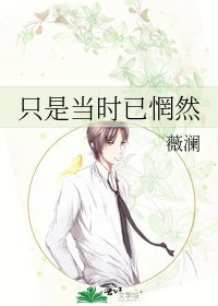 《只是当时已惘然》