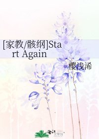 [家教/骸纲]Start Again
