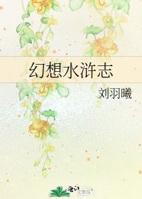 《幻想水浒志》