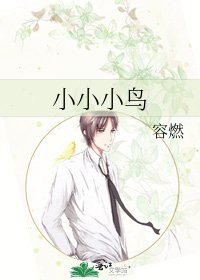 《小小小鸟》