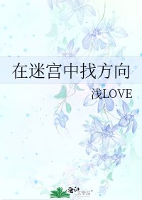 《在迷宫中找方向》