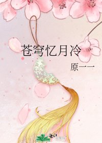 苍穹忆月冷