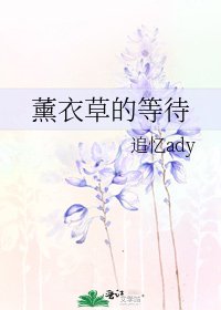 《薰衣草的等待》
