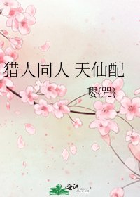 《猎人同人 天仙配》