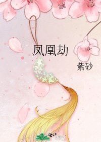 《凤凰劫》