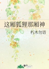 《这厢狐狸那厢神》