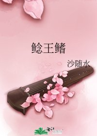 《鲶王鳍》