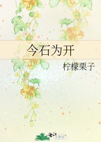 今石为开