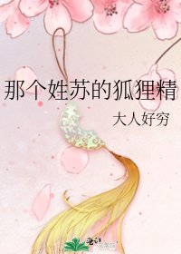 《那个姓苏的狐狸精》