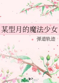 《某型月的魔法少女》