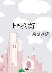 《上校你好!》