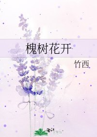 《槐树花开》