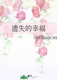 《遗失的幸福》