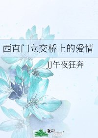 《西直门立交桥上的爱情》