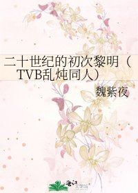 《二十世纪的初次黎明(TVB乱炖同人)》