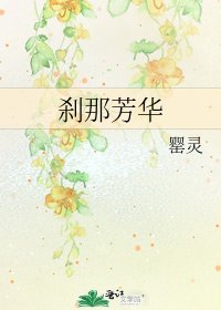 《刹那芳华》