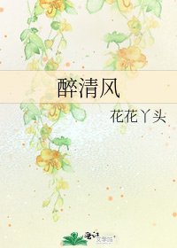 《醉清风》