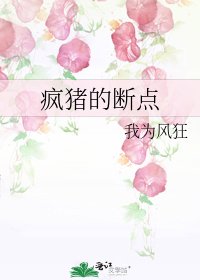 疯猪的断点