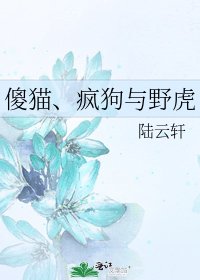 《傻猫、疯狗与野虎》