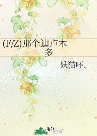 《(F/Z)那个迪卢木多》