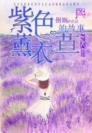 紫色薰衣草的故事