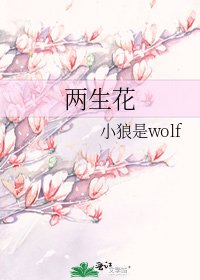 《两生花》