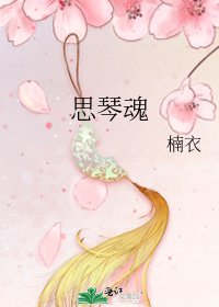 思琴魂