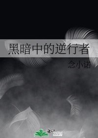 《黑暗中的逆行者》