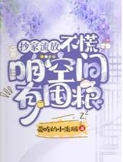 《抄家流放?不慌,咱空间有囤粮》