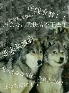 《误入狼窝的二哈》