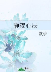 《静夜心辰》