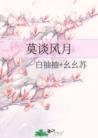 《莫谈风月》
