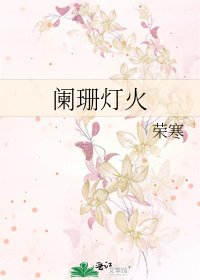 《阑珊灯火》