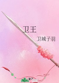 《卫王》