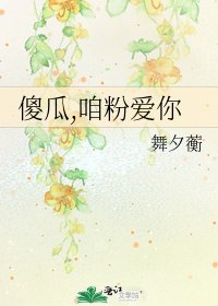 《傻瓜,咱粉爱你》