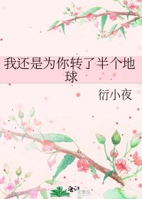 我还是为你转了半个地球