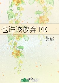 《也许该放弃 FE》