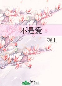 《不是爱》
