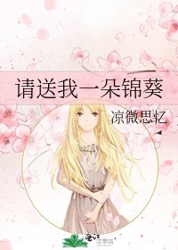 《请送我一朵锦葵》