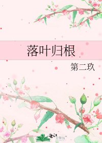 《落叶归根》