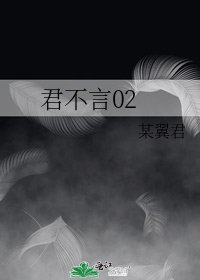 《君不言02》