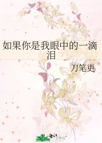 《如果你是我眼中的一滴泪》
