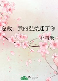 《总裁,我的温柔迷了你》