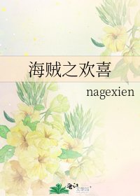 《海贼之欢喜》