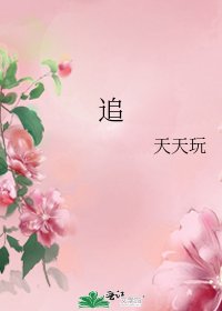 《追》