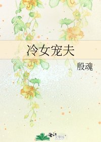 《冷女宠夫》
