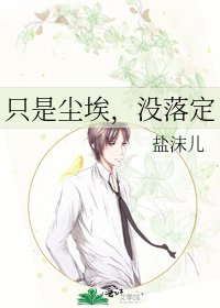《只是尘埃,没落定》