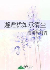 《邂逅犹如承清尘》