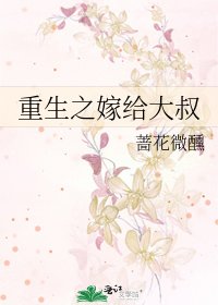 重生之嫁给大叔