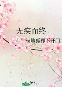 《无疾而终》